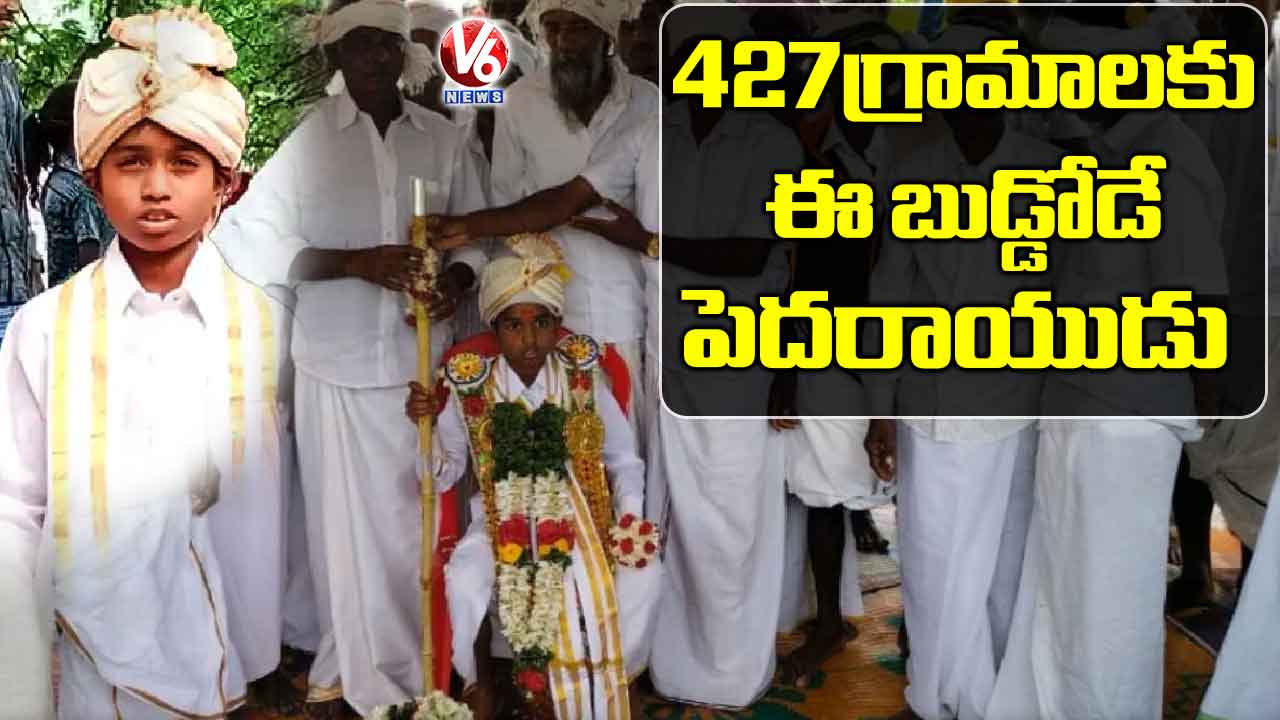 427 గ్రామాలకు ఈ బుడ్డోడే పెదరాయుడు